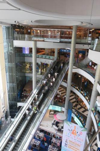 IMG 3776-683x1024