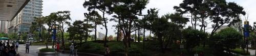 DSC09990
