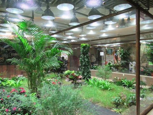 IMG 9890